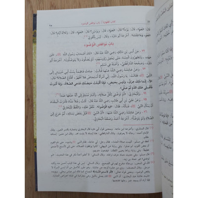 بلوغ المرام من أدلة الأحكام | ابن حجر العسقلاني | دار الفكر