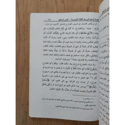 اللمعة السنية في حل ألفاظ الآجرومية | ريحان المصري | دار الرضا