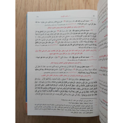 اللؤلؤ والمرجان فيما أتفق عليه الشيخان | دار الفكر