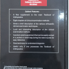 Textbook of Orthopedics | John Ebnezar | Jaypee | 4th edition
