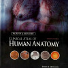 McMinn & Abrahams Clinical Atlas of Human Anatomy | 7th edition