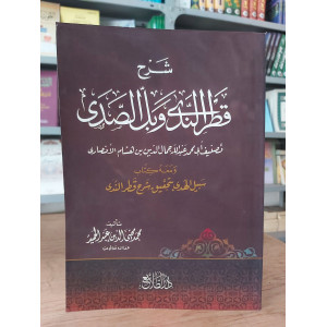 شرح قطر الندى وبل الصدى | ابن هشام الأنصاري | غلاف | دار الطلائع